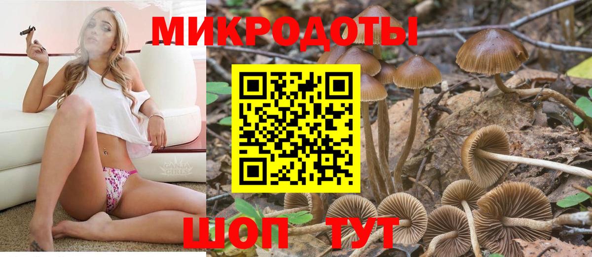 продажа наркотиков  Вход с VPN  Гулькевичи  Галлюциногенные грибы Psilocybe 